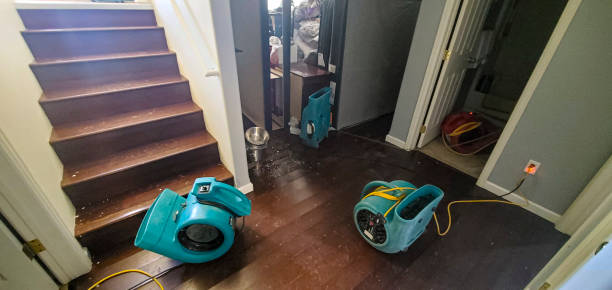 Best Water damage contractors near me  in Ferry Pass, FL