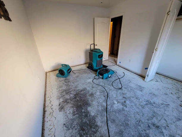 Ferry Pass, FL Water damage restoration Company