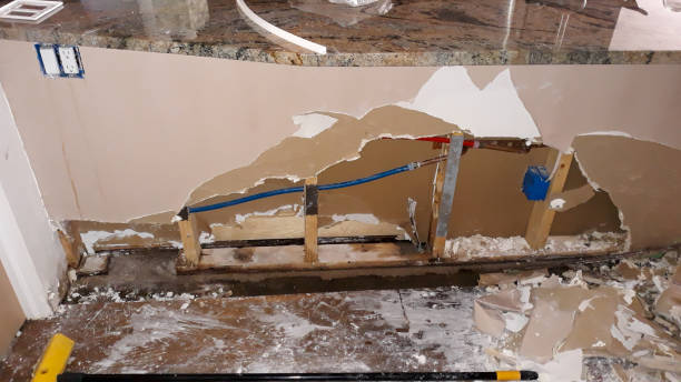 Best Water damage restoration near me  in Ferry Pass, FL