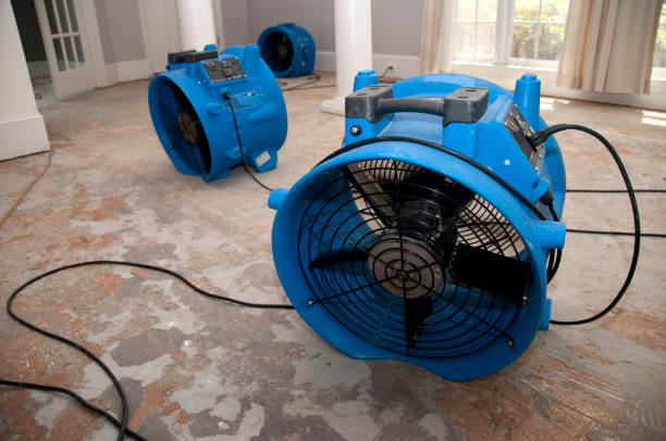 Local water damage restoration in Ferry Pass, FL