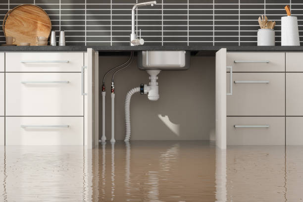 Best Basement water damage restoration  in Ferry Pass, FL