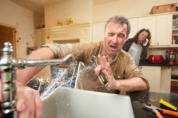 Best Flooded house restoration  in Ferry Pass, FL